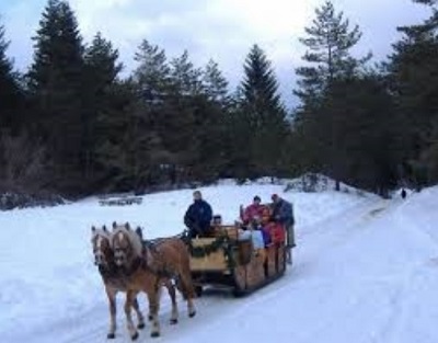 ...un giro in slitta...